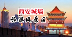 鸡巴操逼片中国陕西-西安城墙旅游风景区